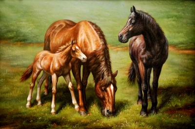 Horses 037